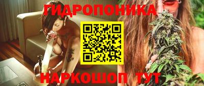 ECSTASY Канаш